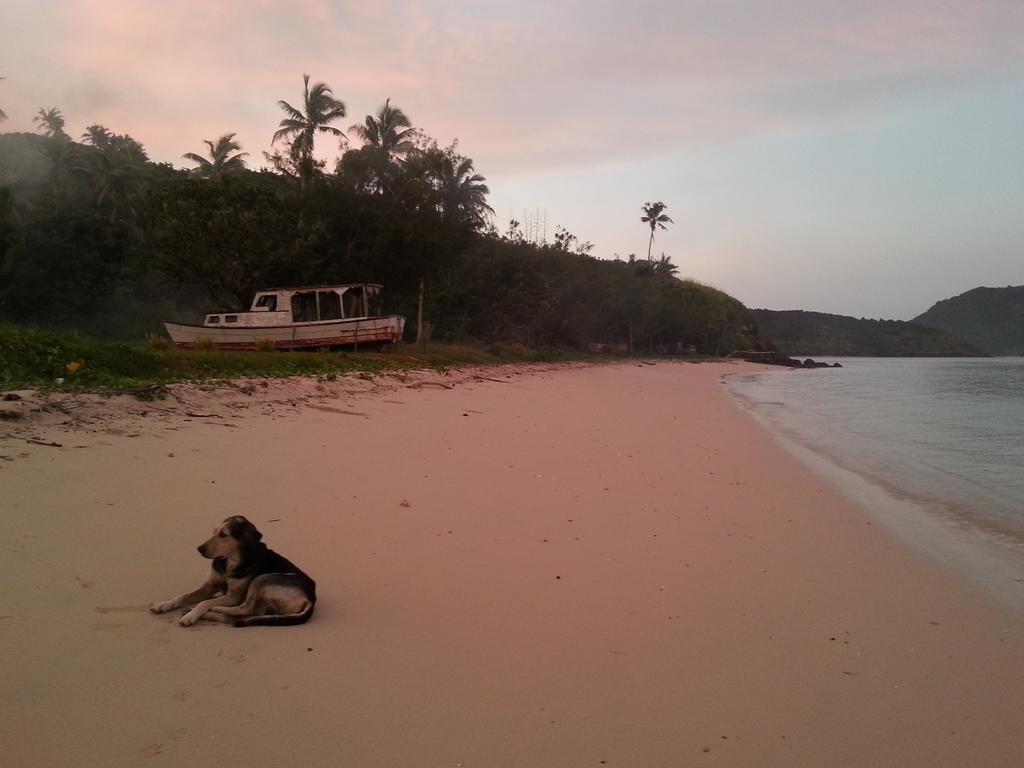 Yasawa Homestays Naisisili Εξωτερικό φωτογραφία