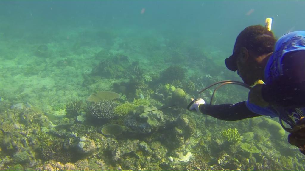 Yasawa Homestays Naisisili Εξωτερικό φωτογραφία